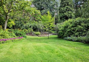 Optimiser l'expérience du jardin à Quintigny